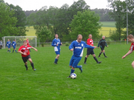 260513_Wiesen_Steinhaus_5